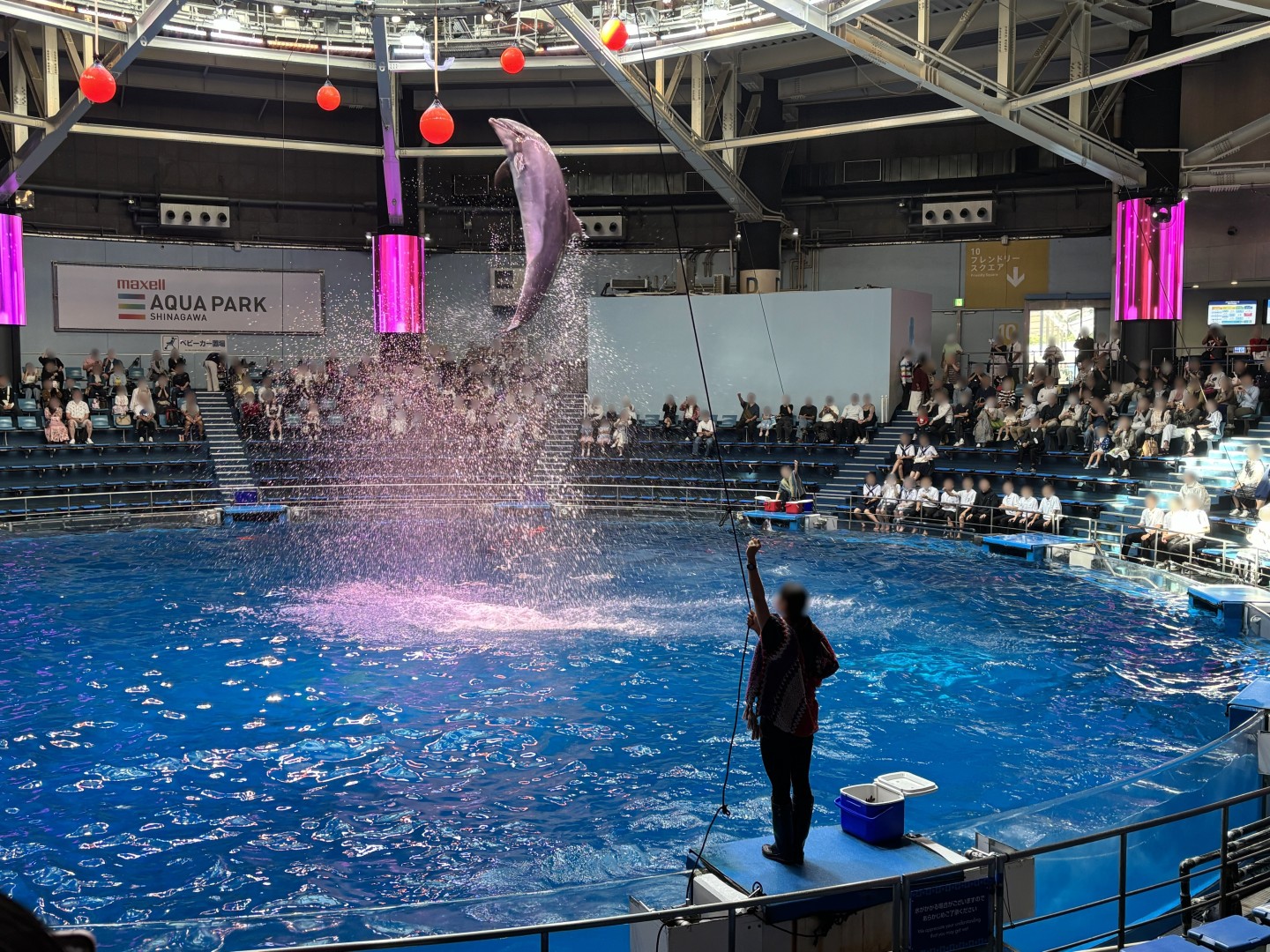 品川の水族館にいってきました！