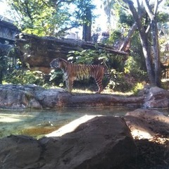 個別相談受付中！！