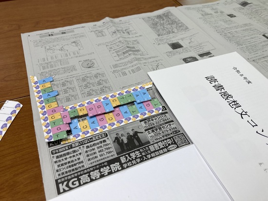 【KG土浦】読売新聞に広告を出しました