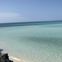 ◎【鹿島学園】特別活動「令和５年度沖縄旅行」について　詳しくは西日暮里駅前キャンパスにお問い合わせ下さい。