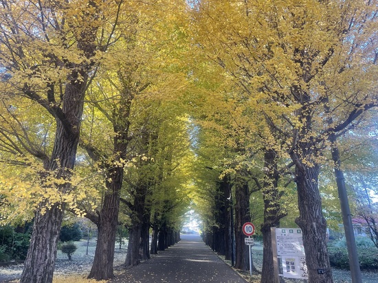 ◇学校のご挨拶周り