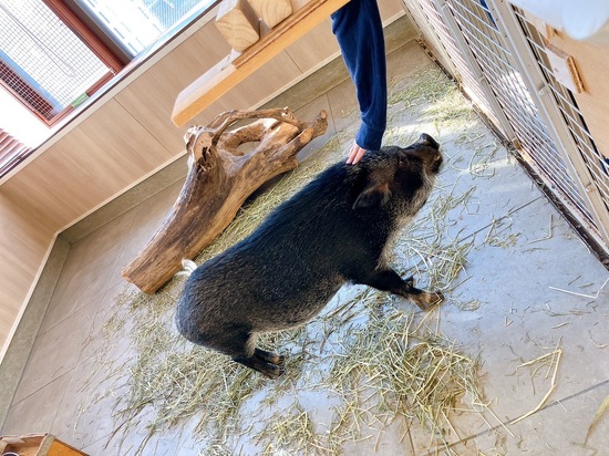 ◎小動物とふれあい体験💛