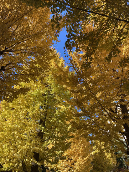 スクーリング2日目