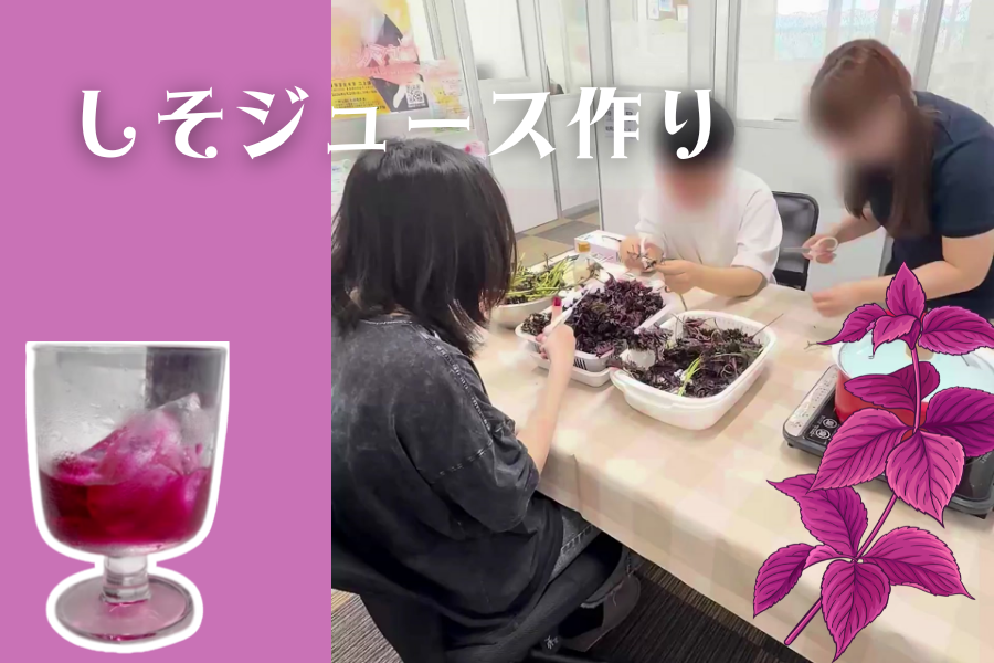 赤紫色がルビー色に変わる瞬間に感動!夏を感じる赤紫蘇ジュース作り|大宮西口キャンパス