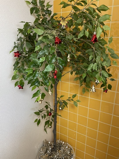 クリスマスの飾り付け♪