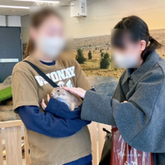 ◎特別活動(自由参加) 小動物とふれあう体験のお知らせ