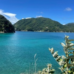 □夏休みのお知らせ