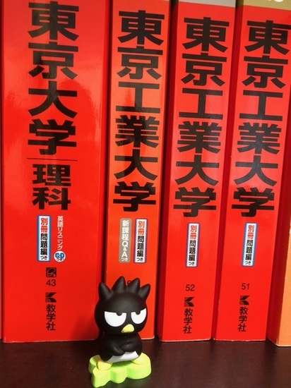 バッドばつ丸と赤本