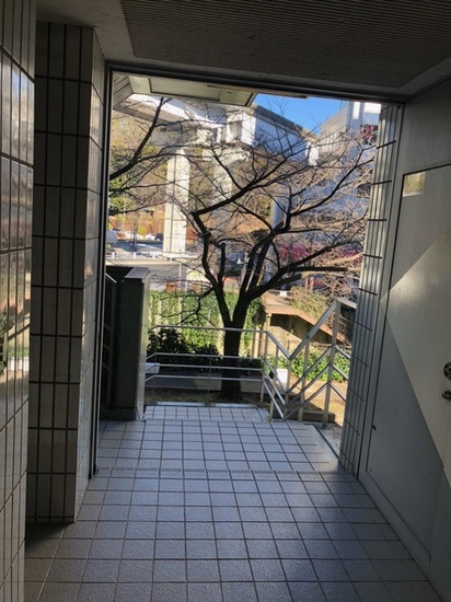 風が強くて…！