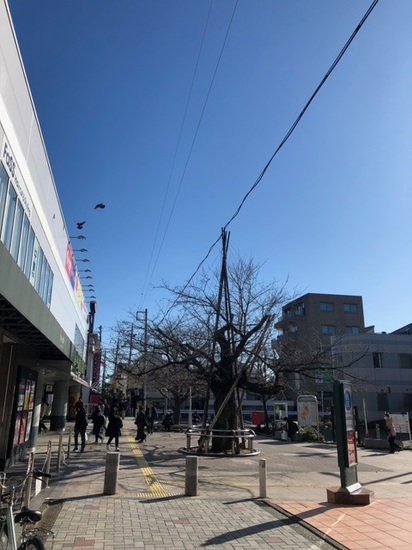 突き抜けるような青空