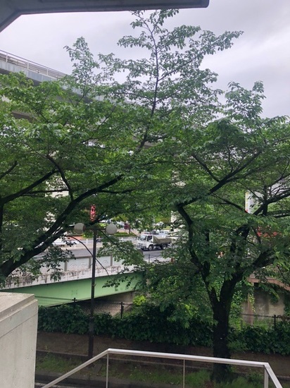 寒くて爽やかな朝