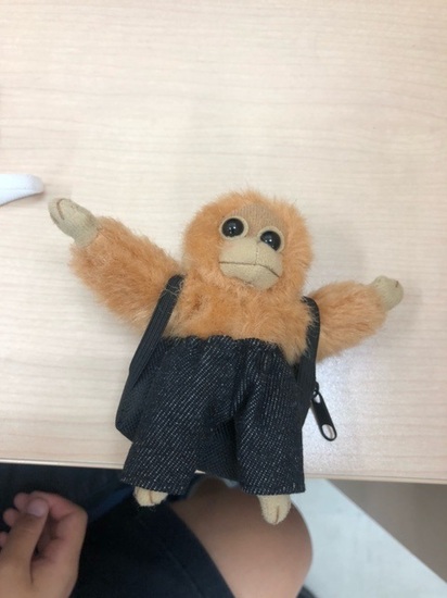 オランウータンの服