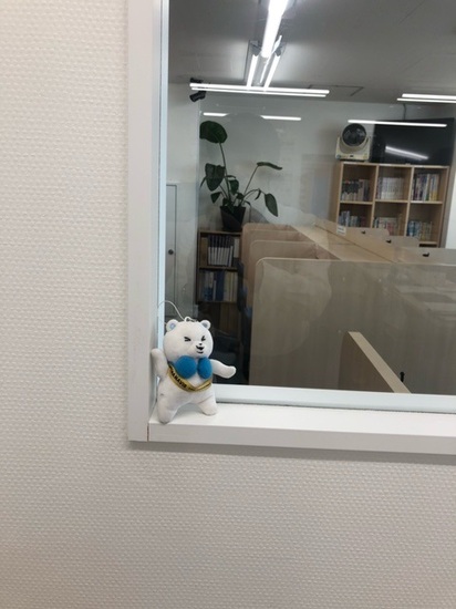 なかなかすごい豪雨でした