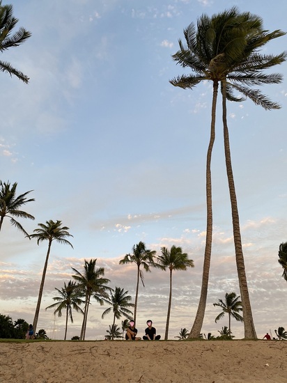 ハワイより愛を込めて