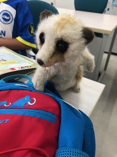 ミーアキャット