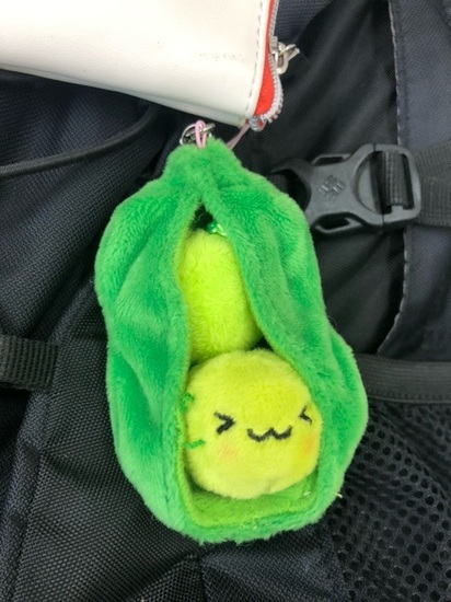 かわいいえだ豆