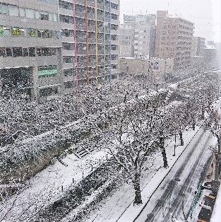 白からピンクに