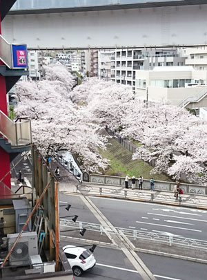 ぼちぼちですpart2