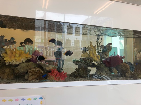 待合室に水族館！？