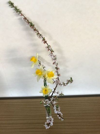 地道にコツコツがんばりましょう