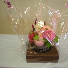 個別相談会・学校見学会のご案内