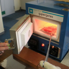 個別相談会・学校見学会のご案内