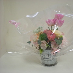 個別相談・学校見学のご案内