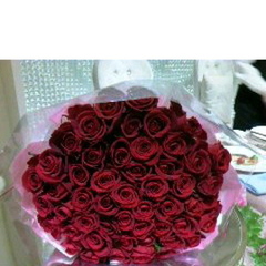 新年のご挨拶＜学校見学・入学相談のお知らせ＞