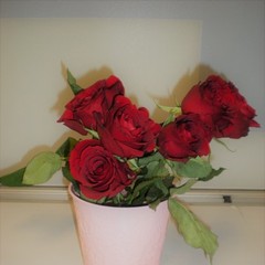 入学、まだ間に合います！