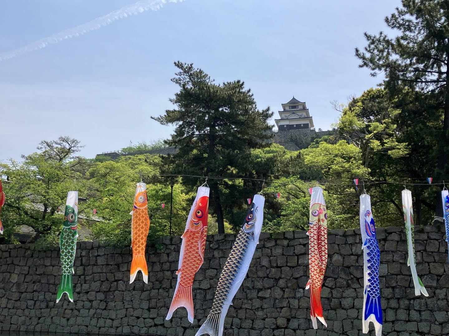 こいのぼり