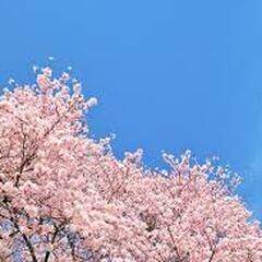 北上キャンパス　入学相談受付中☆彡