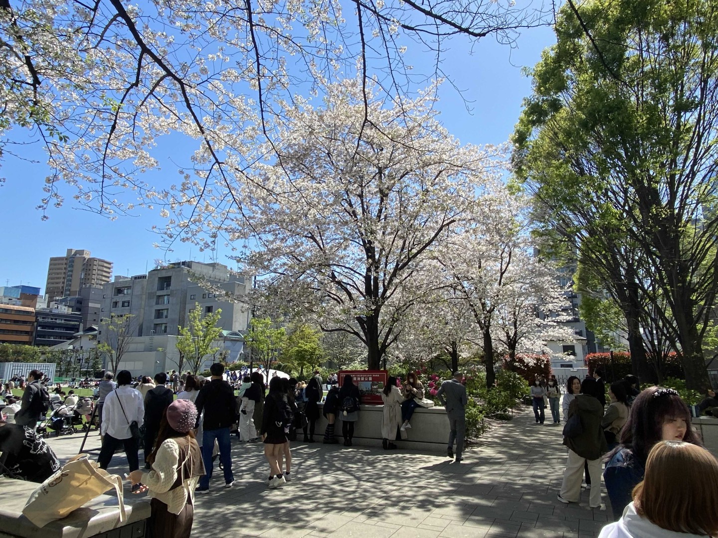 月額最安9,000円から！クーポン適用でお得に高校生活をスタート