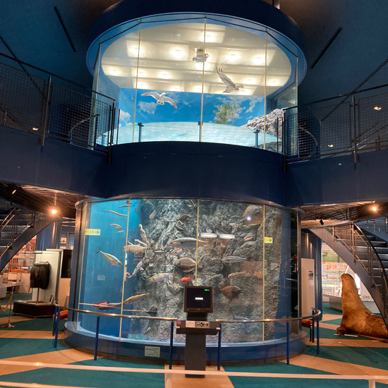 宮古キャンパスで高卒資格取得を目指しませんか☆彡