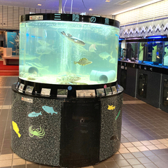 ●宮古キャンパス●新入生・転/編入生の入学相談開催中