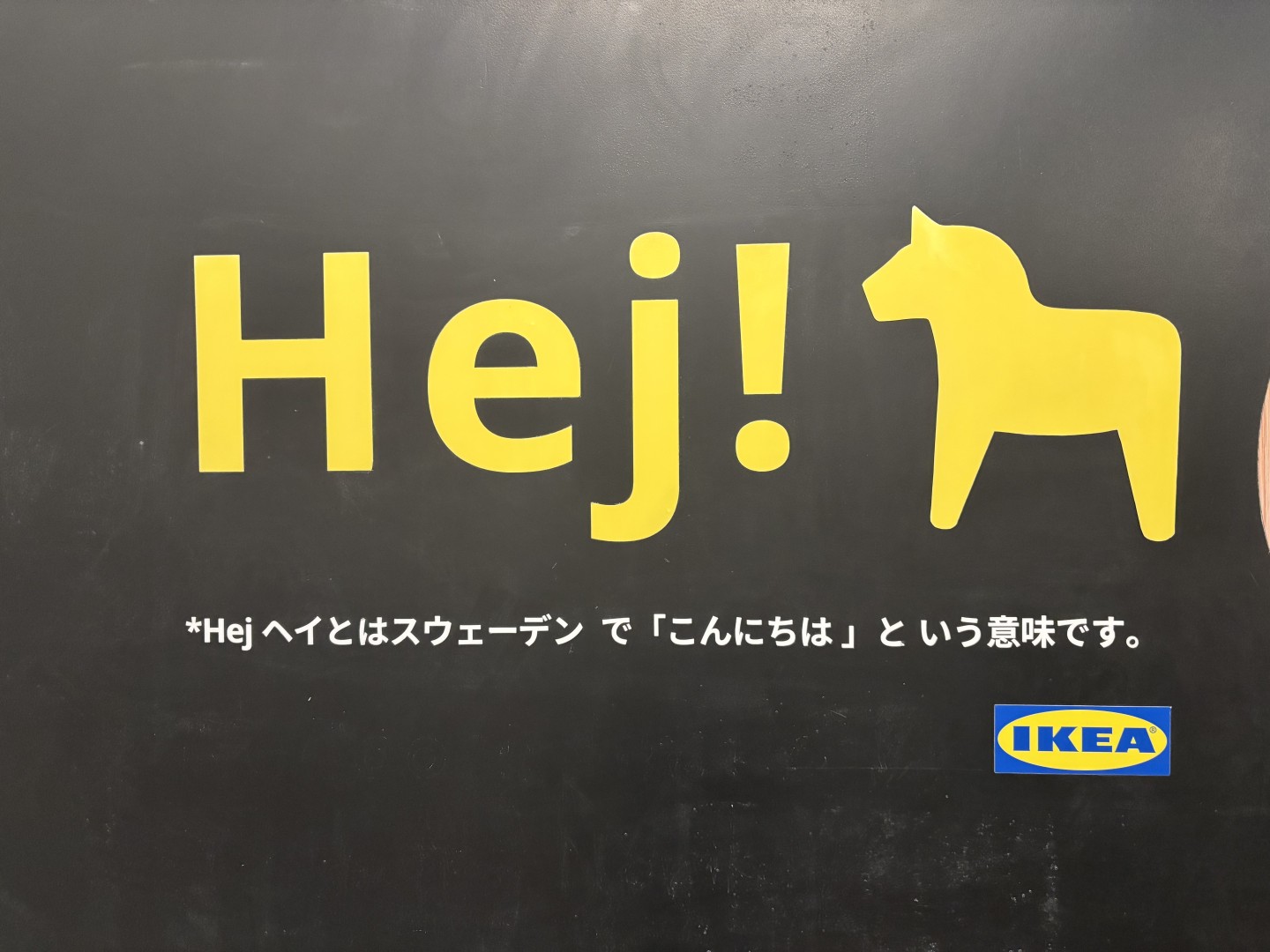 インターンシップ