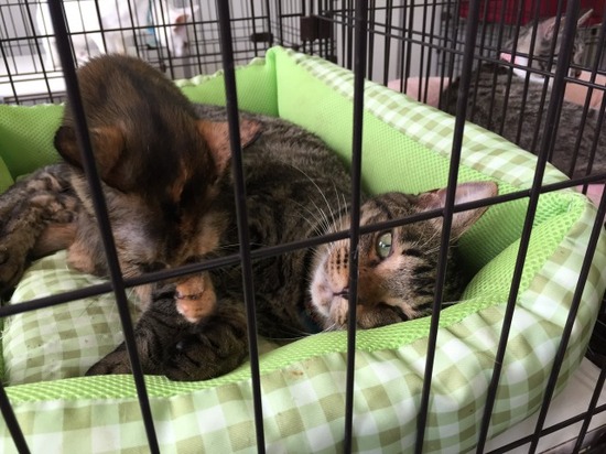 釜石キャンパス☆生徒募集中です(^^)