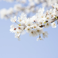 令和５年度入学、まだ間に合います☆彡釜石キャンパス