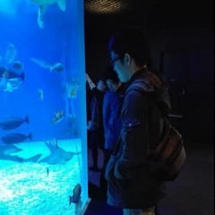 エプソンしながわ水族館に行ってきました！