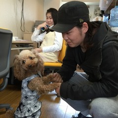 指定校推薦枠の確認方法は？