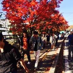 4月のイベントは鎌倉散策！