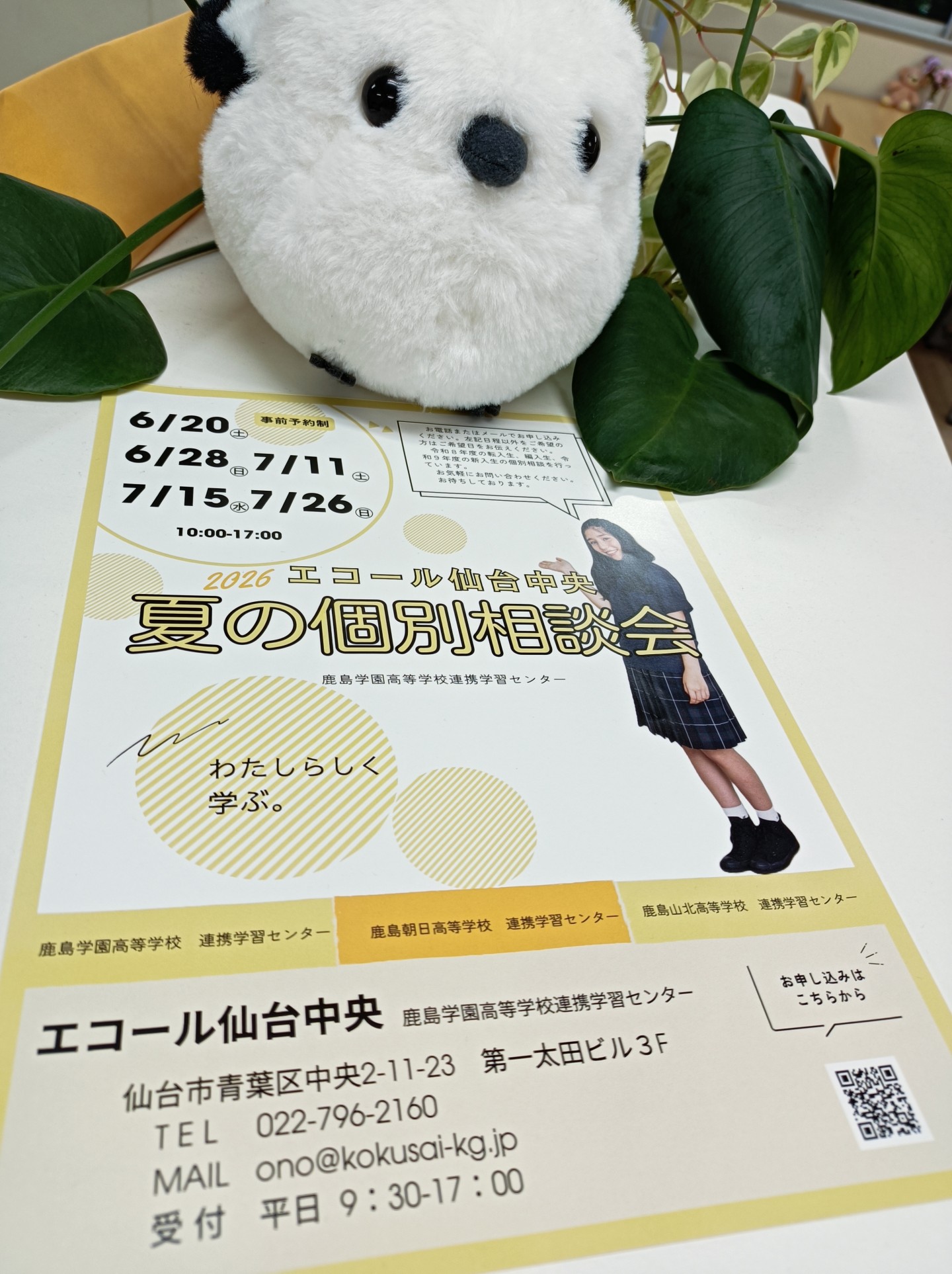 夏の個別相談会受付中！！