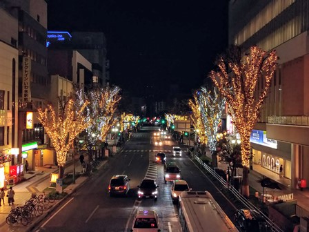 スクーリング前半戦