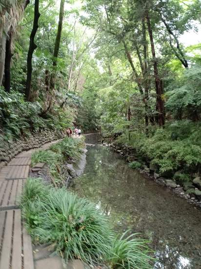 等々力渓谷～多摩川土手沿いウォーキング