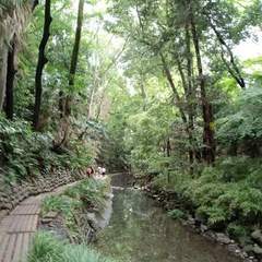 等々力渓谷～多摩川土手ウォーキング