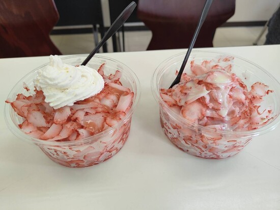 イチゴについて学ぼう！いちご氷作り♪