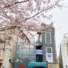 ４月のキャンパス見学・個別入学相談について