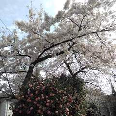 4月入学の期日が迫っています！