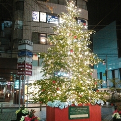 12月が近づき…