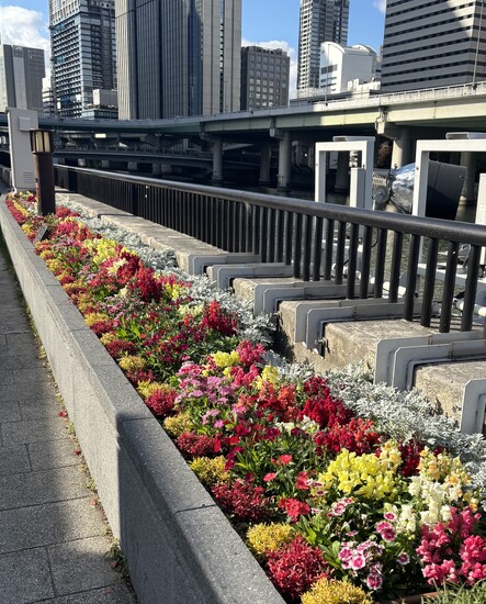 ウォーキング～小さい秋見つけた～【大阪梅田校】