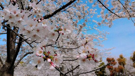 ✧˖°新学期が始まりました°˖✧
